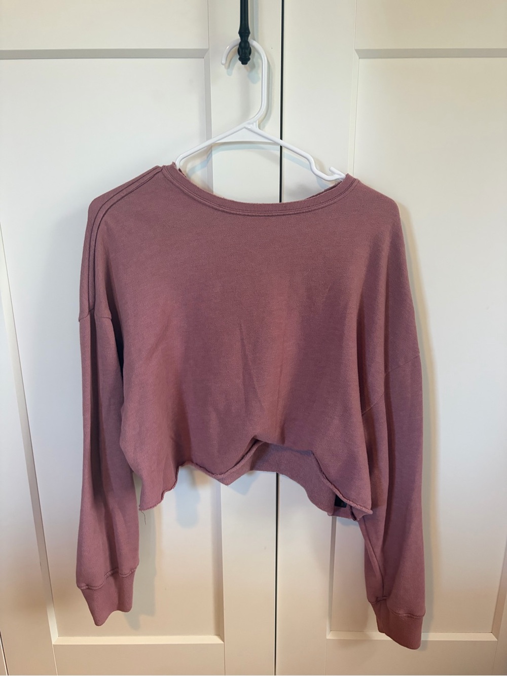 BDG Cropped Long-Sleeve Sweatshirt in Dusty Rose